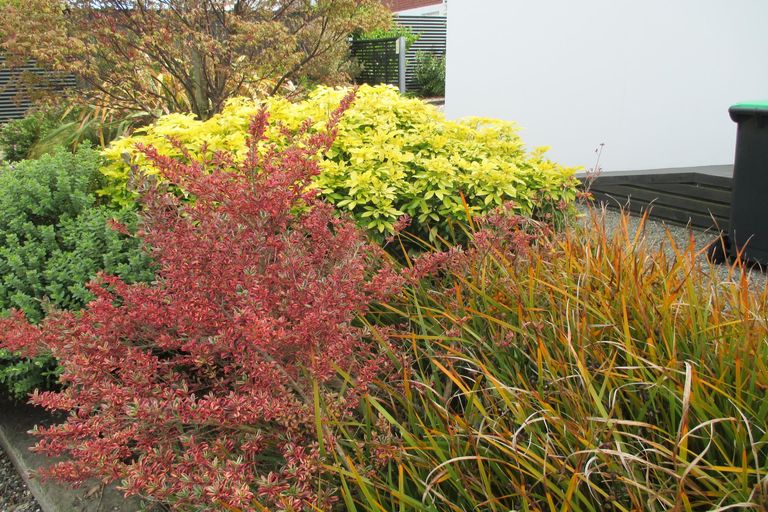 Photo of property in 11 Downs Road, Geraldine, 7930