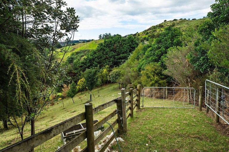Photo of property in 25d Tapu Coroglen Road, Tapu, Thames, 3575