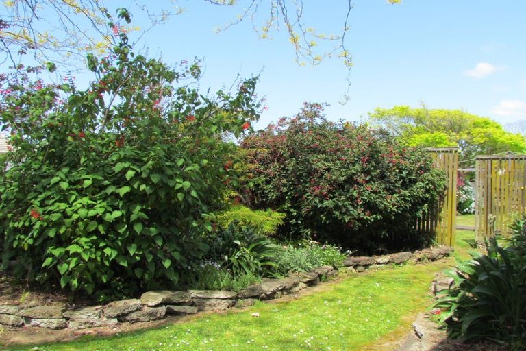 Photo of property in 43 York Street, Levin, 5510