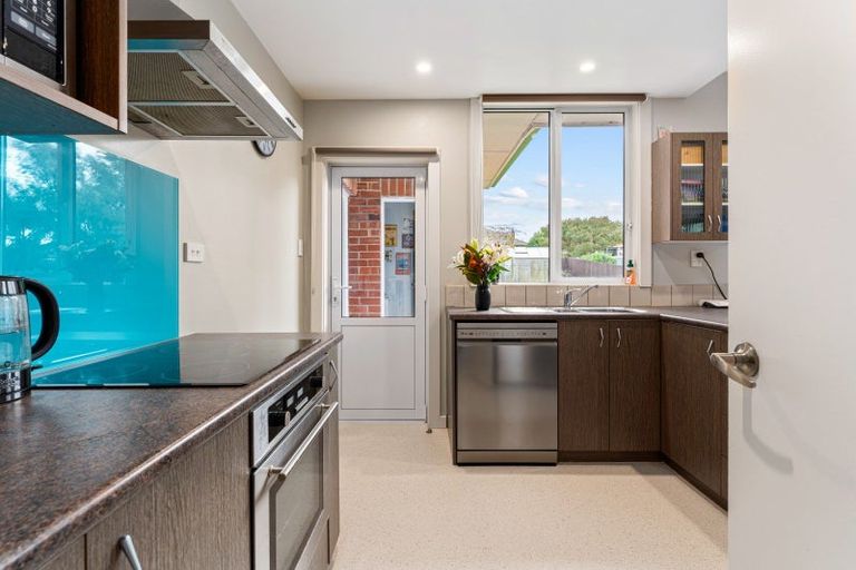 Photo of property in 55 Spencer Street, Andersons Bay, Dunedin, 9013