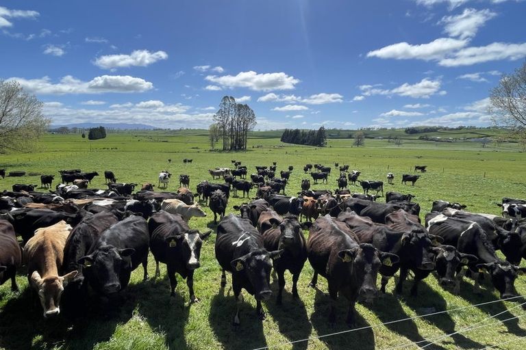 Photo of property in 16 Mcrae Road, Otewa, Otorohanga, 3972