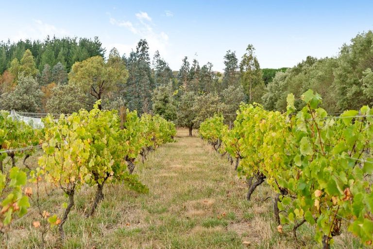 Photo of property in 105 Te Maire Road, Kahutara, Featherston, 5771