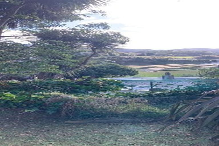 Photo of property in 45a Randwick Road, Northland, Wellington, 6012