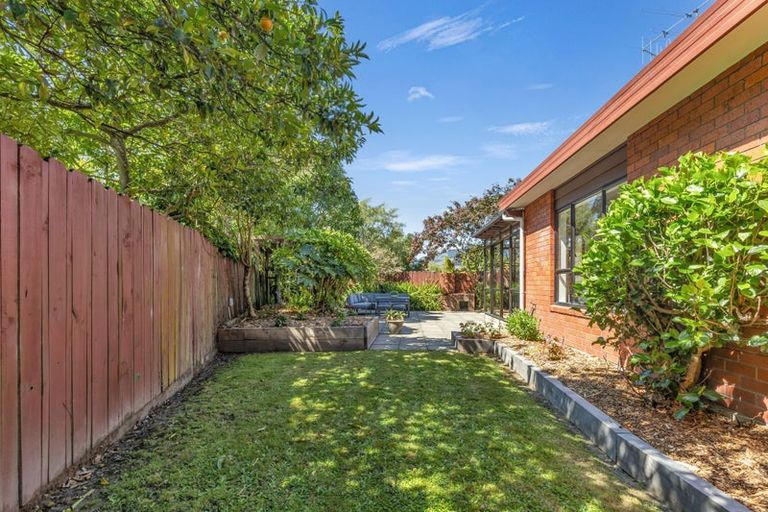 Photo of property in 6 Milne Place, Richmond, 7020