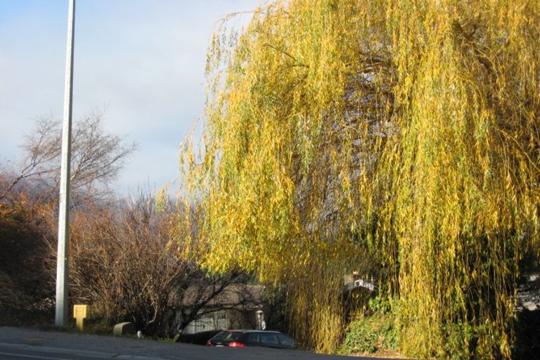 Photo of property in 85 Frankton Road, Queenstown, 9300