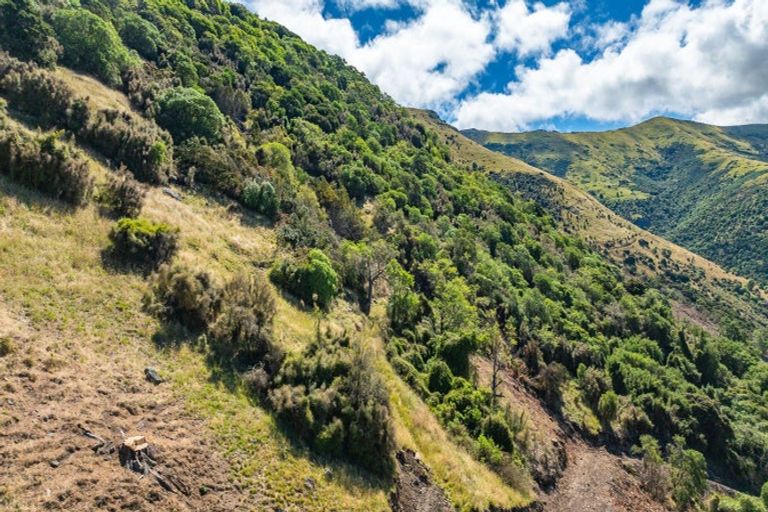 Photo of property in 61 Council Hill Road, Little River, 7591