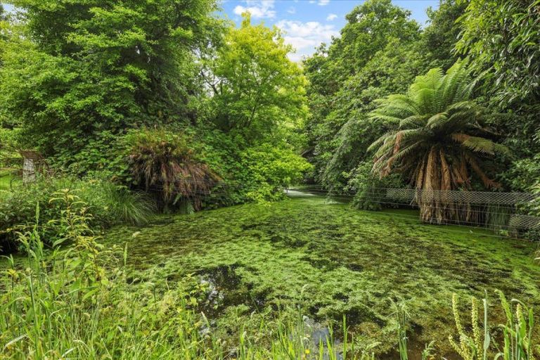 Photo of property in 488 Tapuwae Road, Maniaiti / Benneydale, Te Kuiti, 3987