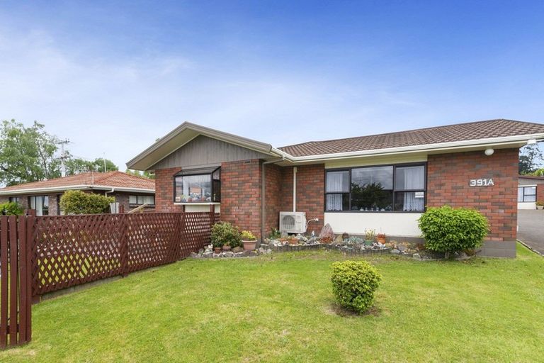 Photo of property in 391a Pukehangi Road, Pomare, Rotorua, 3015