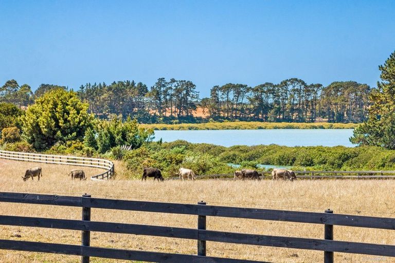 Photo of property in 84 Sanctuary Drive, Glenbrook, Waiuku, 2681