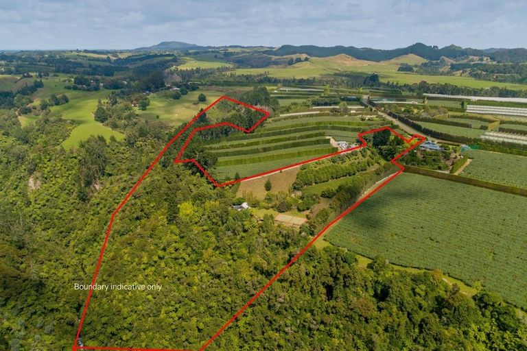 Photo of property in 827 No 1 Road, Te Ranga, Te Puke, 3182