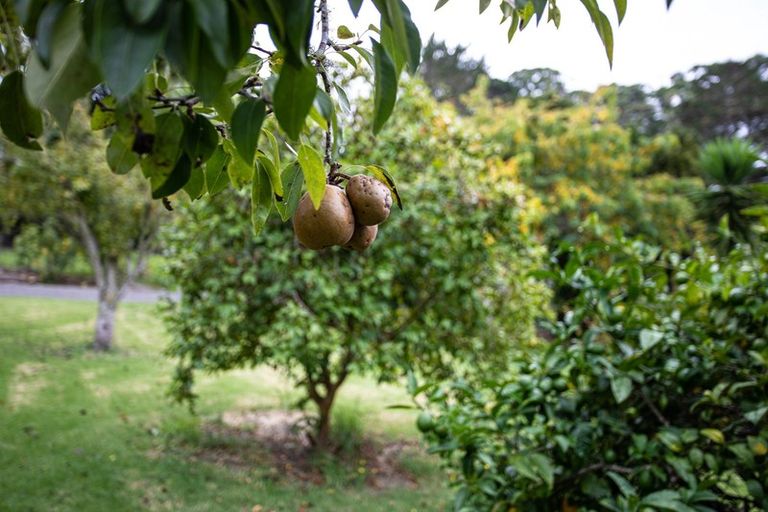 Photo of property in 41 Cory Road, Kaukapakapa, 0873