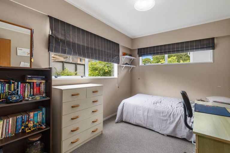 Photo of property in 58 Parry Palm Avenue, Waihi, 3610