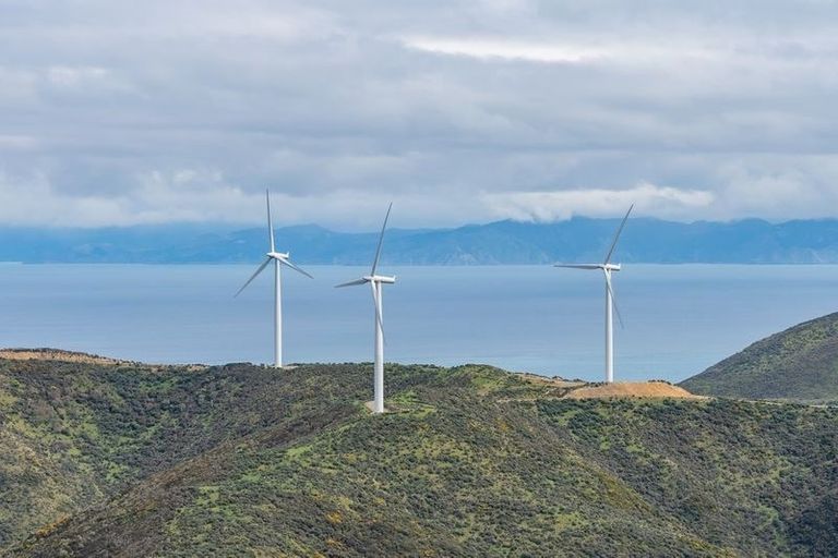 Photo of property in 178 Noel Ashton Way, Makara, Wellington, 6972