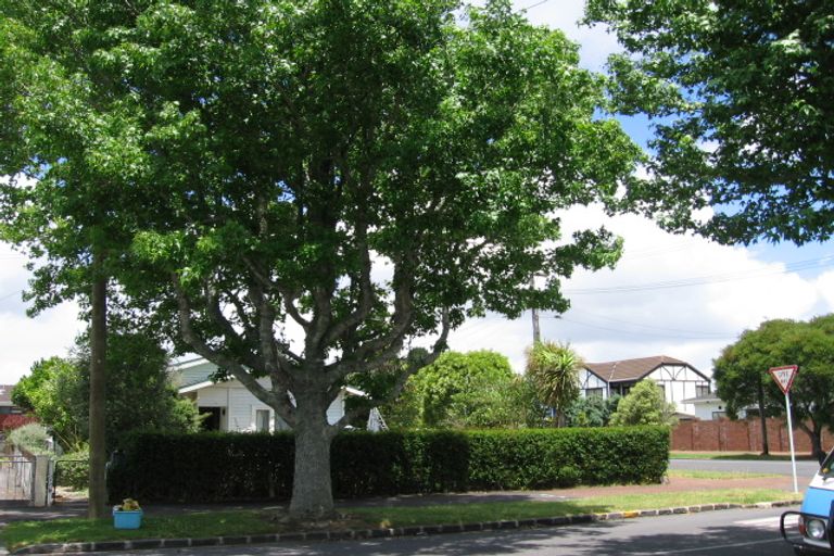 Photo of property in 37 Dignan Street, Point Chevalier, Auckland, 1022