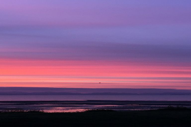 Photo of property in 903 East Coast Road, Kaiaua, Pokeno, 2473