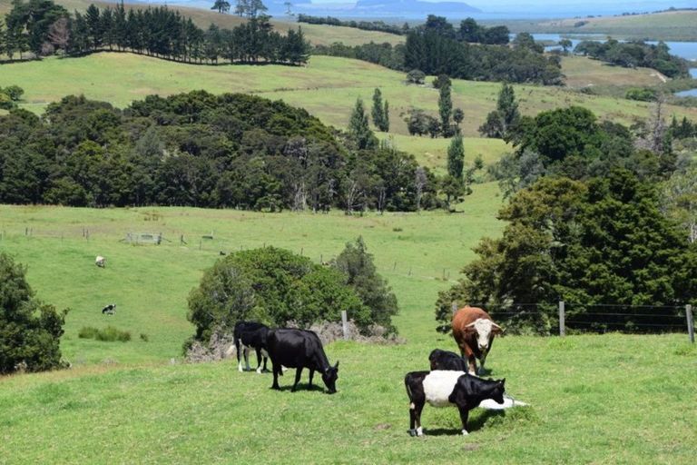 Photo of property in 133 Run Road, Wharehine, Wellsford, 0977