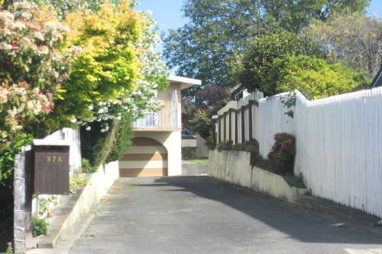 Photo of property in 37a Leefield Street, Blenheim, 7201