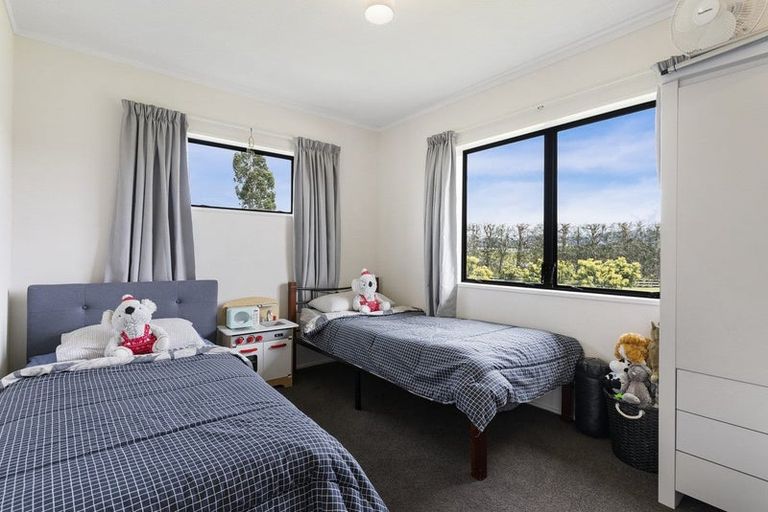 Photo of property in 728 No 1 Road, Te Puke, 3182