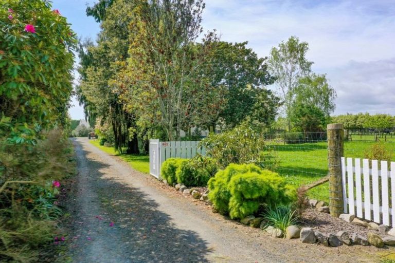 Photo of property in 445 West Bank Road, Edgecumbe, Whakatane, 3193