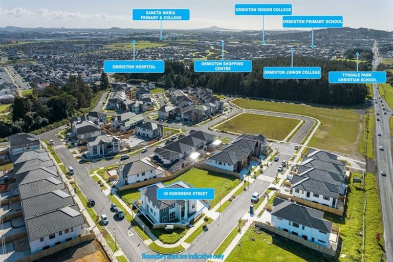 Photo of property in 45 Koromeke Street, Flat Bush, Auckland, 2019