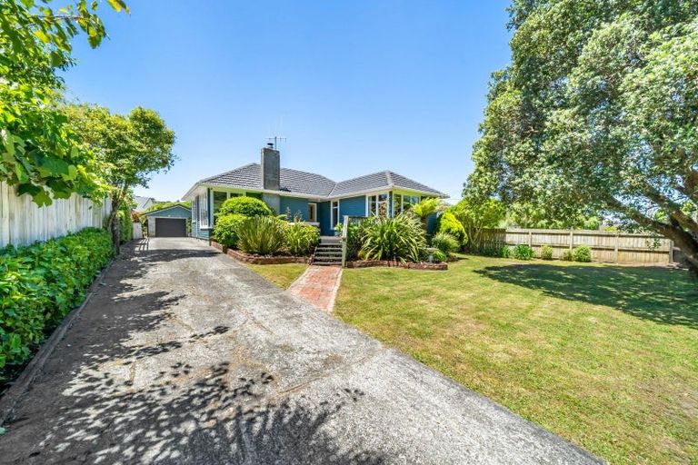 Photo of property in 45 Black Beech Street, Birchville, Upper Hutt, 5018