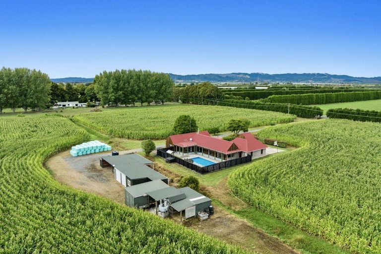 Photo of property in 164 Otakiri Road, Edgecumbe, Whakatane, 3192