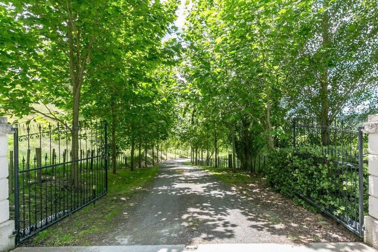 Photo of property in 181 Waimarama Road, Tuki Tuki, Havelock North, 4294