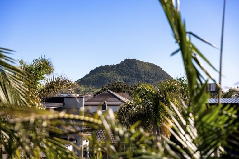 Photo of property in 91 Muricata Avenue, Mount Maunganui, 3116