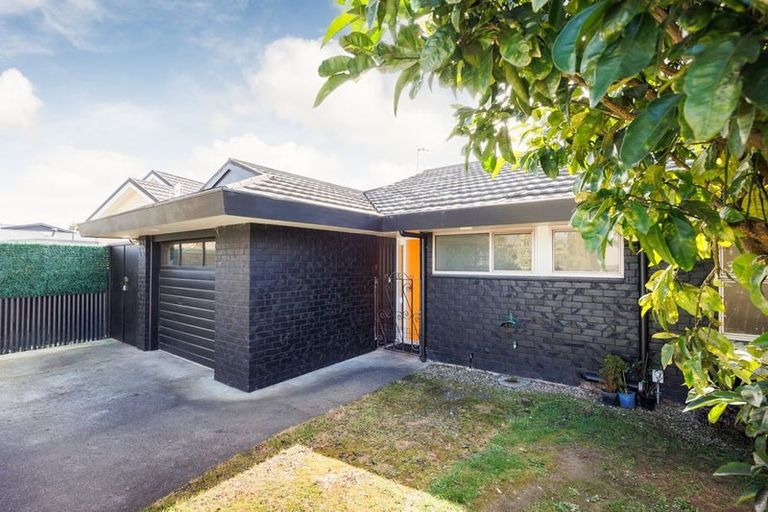 Photo of property in 18d Montgomery Terrace, Hokowhitu, Palmerston North, 4410