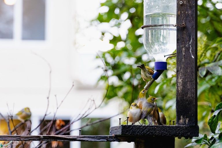 Photo of property in 6 Rosehill Road, Macandrew Bay, Dunedin, 9077