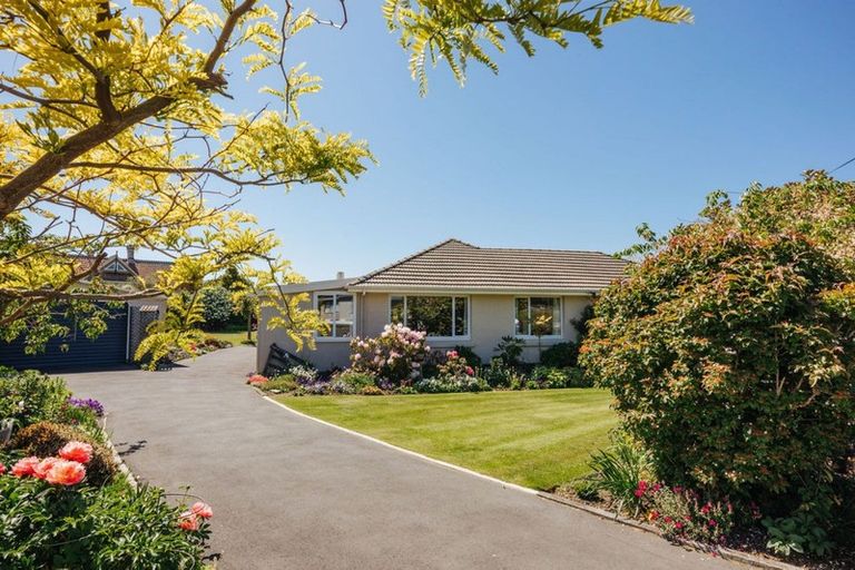 Photo of property in 8 Kingslea Street, Holmes Hill, Oamaru, 9401