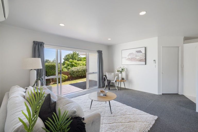 Photo of property in 45a Harrier Street, Parkvale, Tauranga, 3112