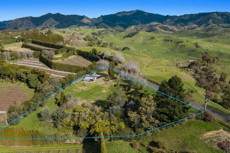 Photo of property in 399 Verrall Road, Waiotahe, Opotiki, 3198