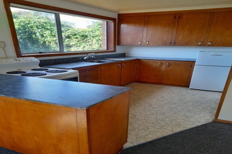 Photo of property in 1/47 Lonsdale Street, Belleknowes, Dunedin, 9011