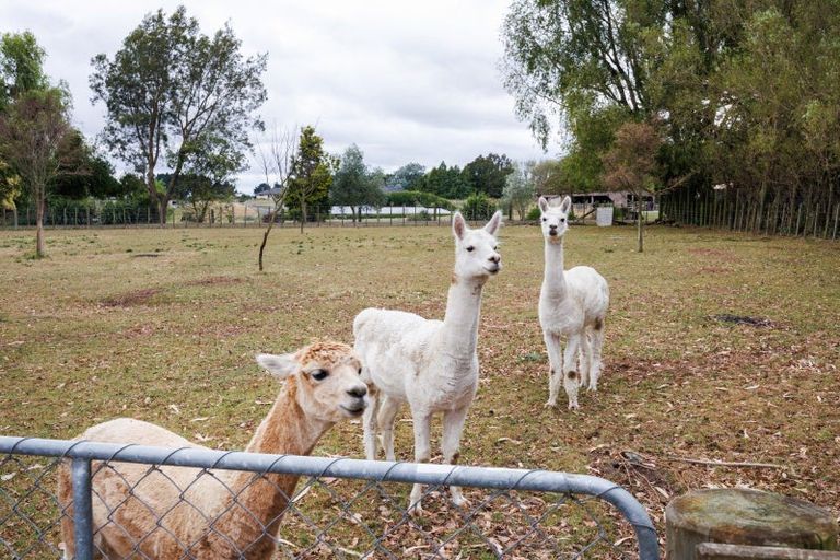 Photo of property in 179 Watershed Road, Bunnythorpe, Palmerston North, 4470