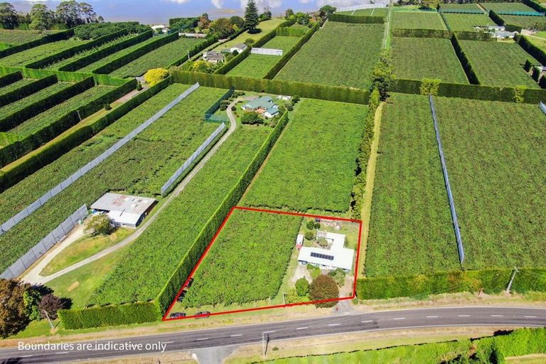 Photo of property in 186 Beach Road, Katikati, 3178