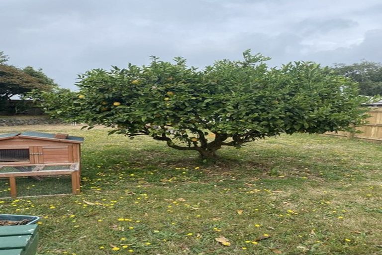 Photo of property in 15 Oxford Crescent, Ebdentown, Upper Hutt, 5018