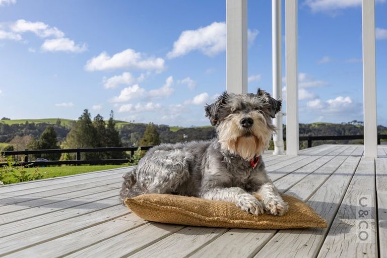 Photo of property in 93 Alf Access Road, Helensville, 0875