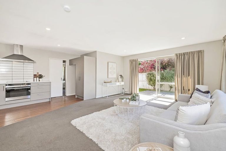 Photo of property in 54 Thackeray Place, Waltham, Christchurch, 8023