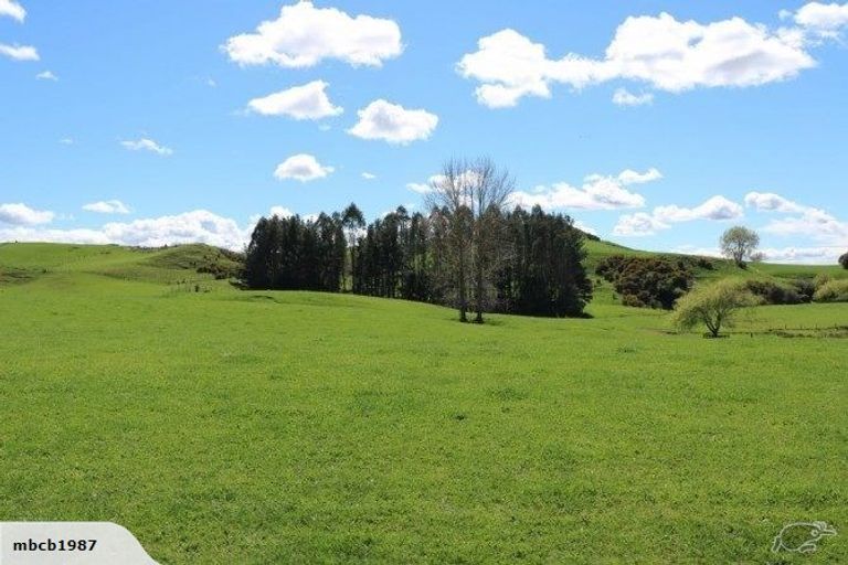 Photo of property in 98 Paparamu Road, Piarere, Tirau, 3484
