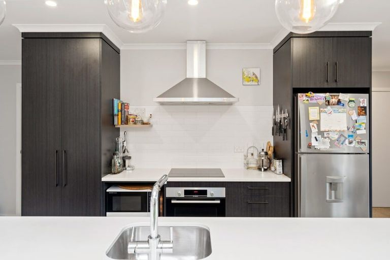 Photo of property in 17 Voight Avenue, Chartwell, Hamilton, 3210