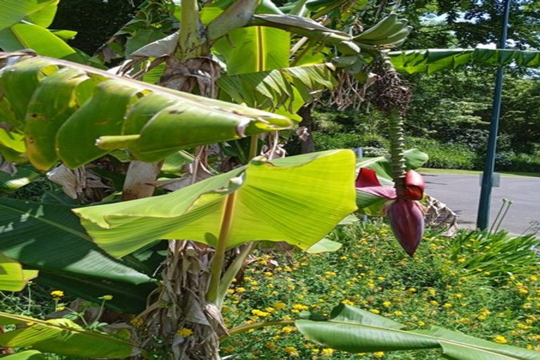 Photo of property in 42 Westview Place, Tauriko, Tauranga, 3110