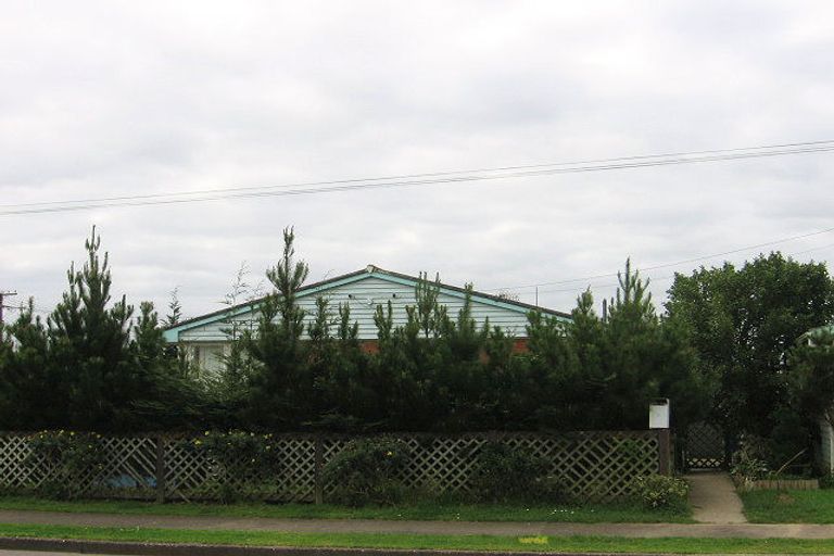 Photo of property in 15 Forth Street, Levin, 5510