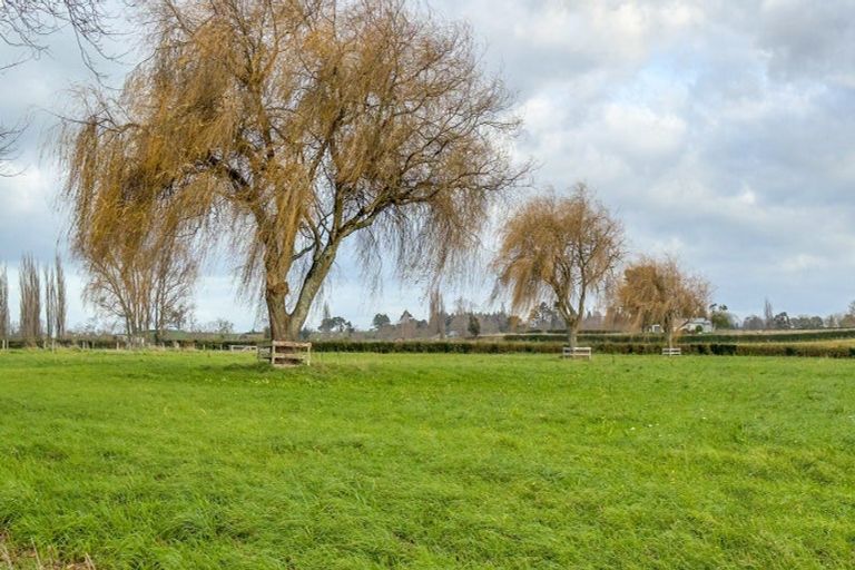 Photo of property in 3799 Ohaupo Road, Ohaupo, 3882