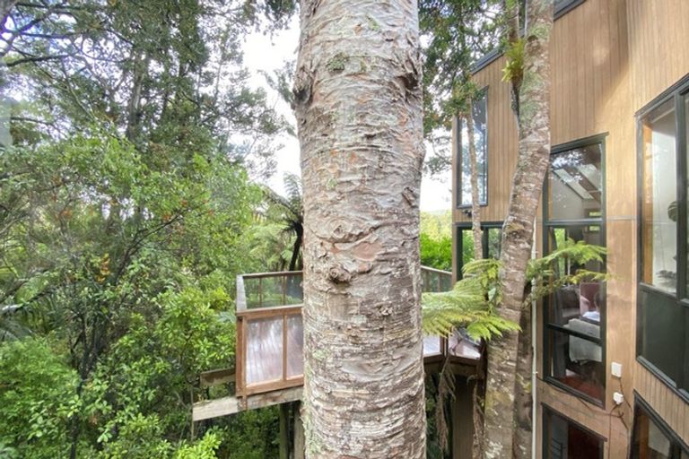 Photo of property in 31 York Road, Titirangi, Auckland, 0604