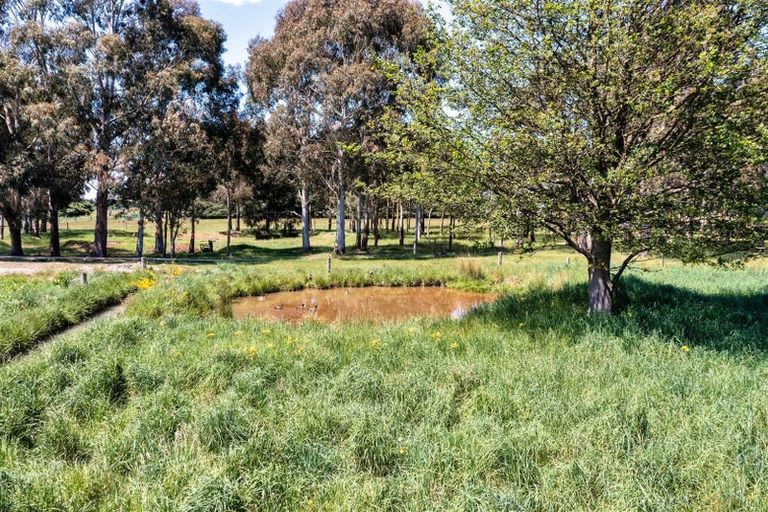 Photo of property in 251 Worlingham Road, Eyrewell, West Eyreton, 7476