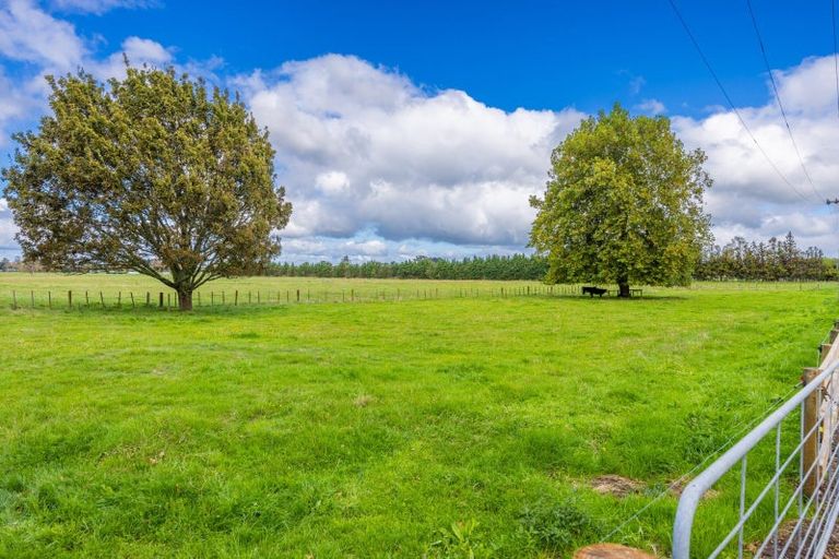 Photo of property in 44 Park Road, Horotiu, Hamilton, 3288