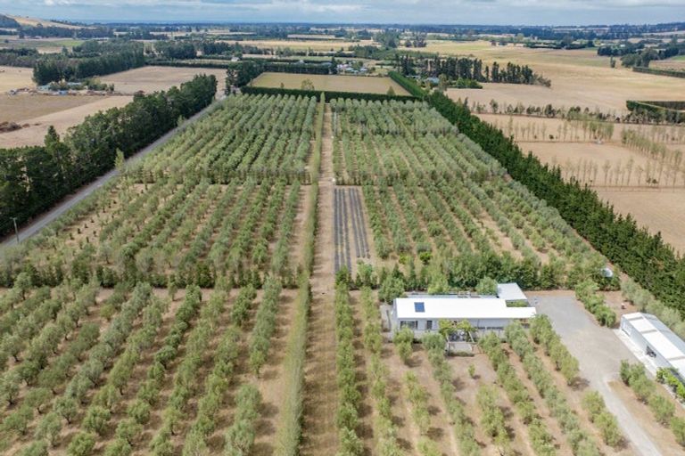 Photo of property in 179 Racecourse Road, Amberley, 7482