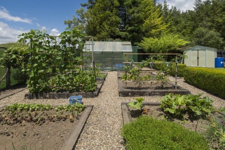 Photo of property in 165 Mcphail Road, Oropi, Tauranga, 3173