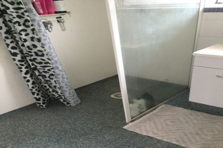 Photo of property in 8a Lloyd Street, Parkvale, Tauranga, 3112